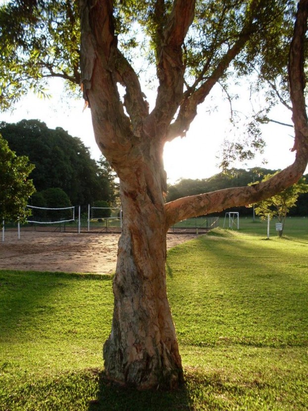 Espaço verde