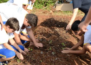 aabb-comunidade-santa-cruz-do-sul